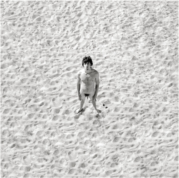 © Andrew Moisey