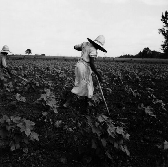 © The Dorothea Lange Collection, the Oakland Museum of California, City of Oakland. Gift of Paul S. Taylor