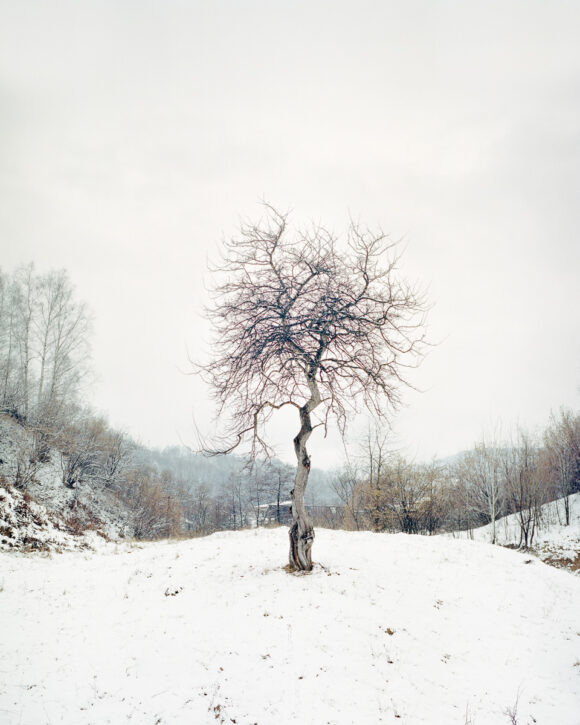 © Kevin Faingnaert