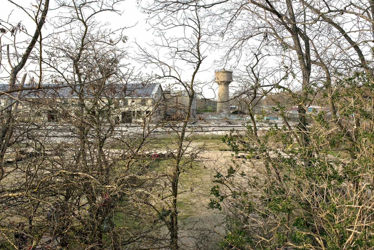 © Marc Lathuillière, courtesy Galerie Binome