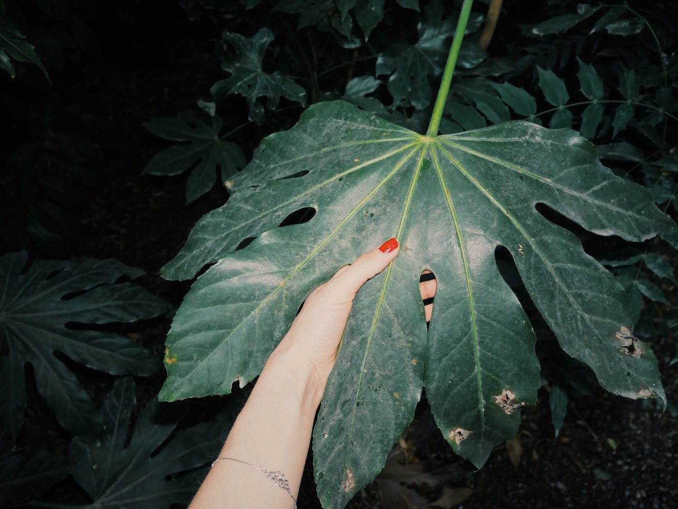 © Mina Leb