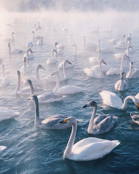 © Sergey Bratishchev / Instagram