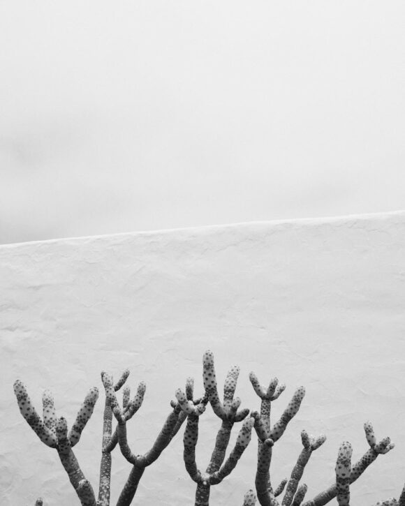 bensusi-instagram-fe1