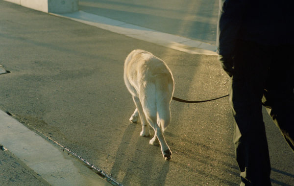 © Erik Mowinckel