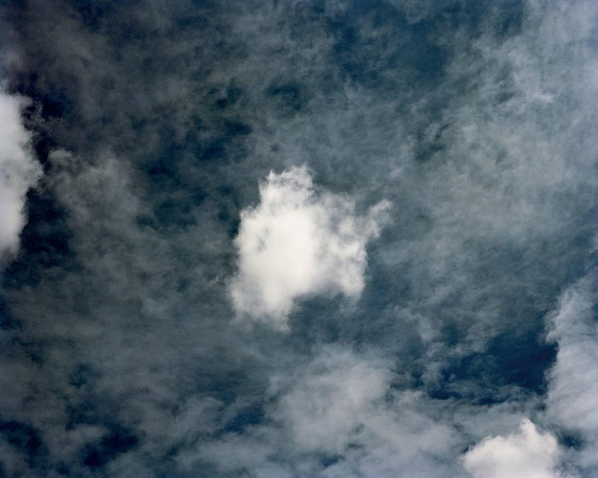 © Martin Essl