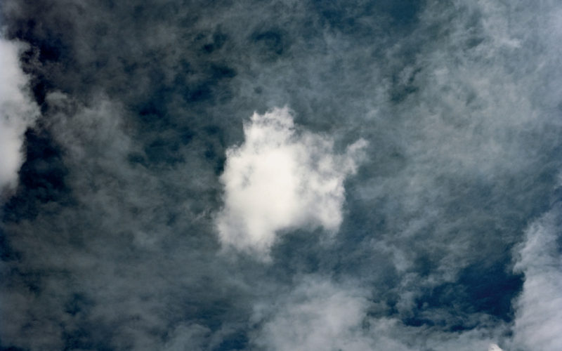 © Martin Essl