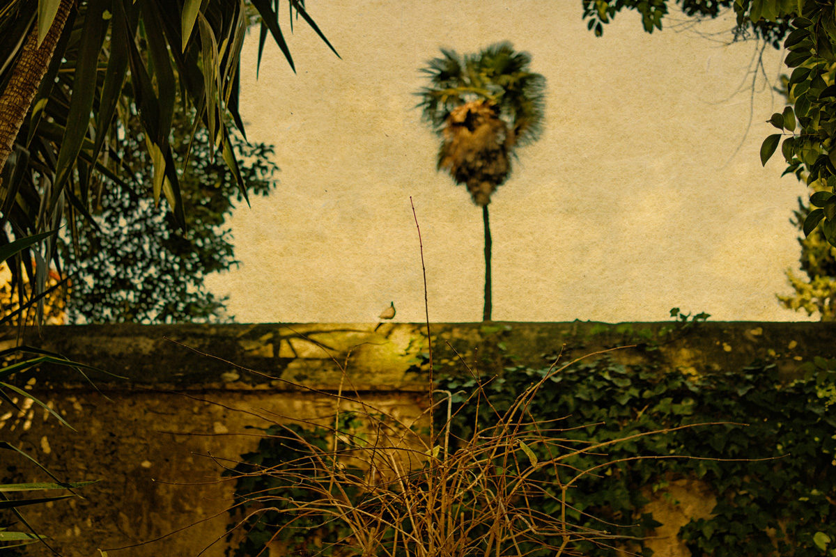 © Albarrán Cabrera