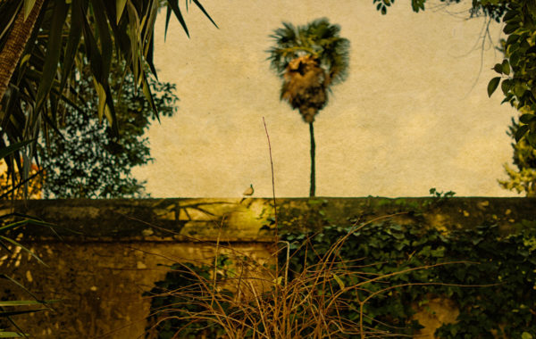 © Albarrán Cabrera