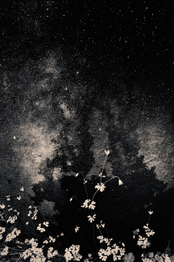 © Albarrán Cabrera