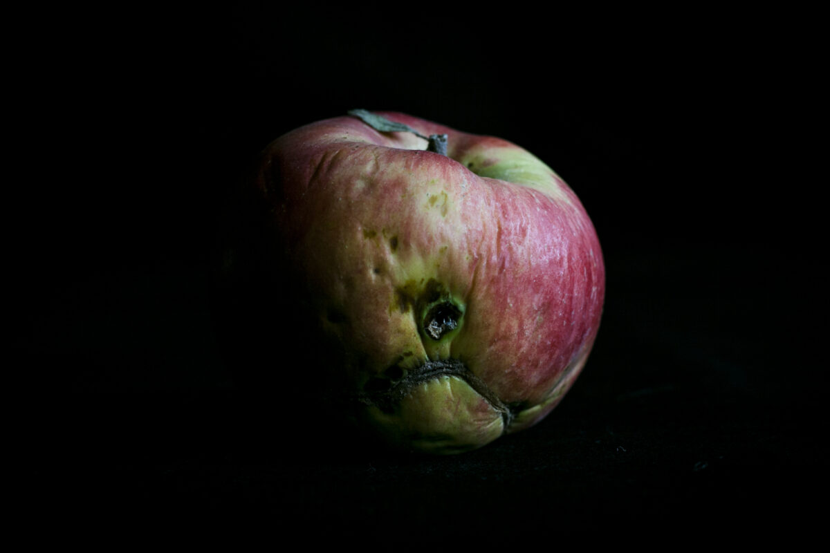 © Raul Moreno 