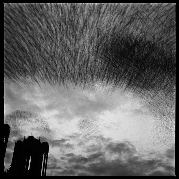 Reims, la cathédrale, 1989 © Gérard ROndeau