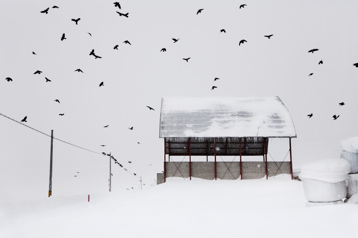 © Christophe Jacrot