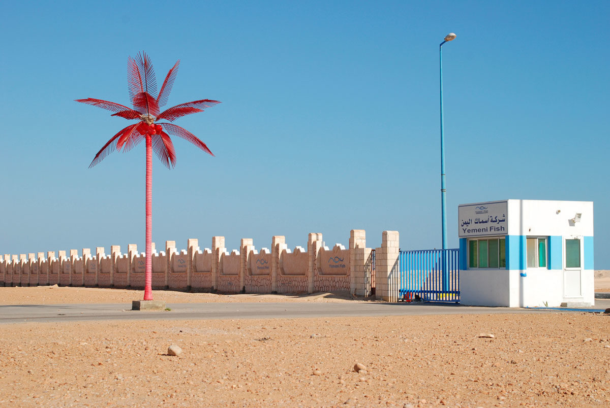 HENNING_Palmier_en_zinc_Yemen_©AnnedeHenning
