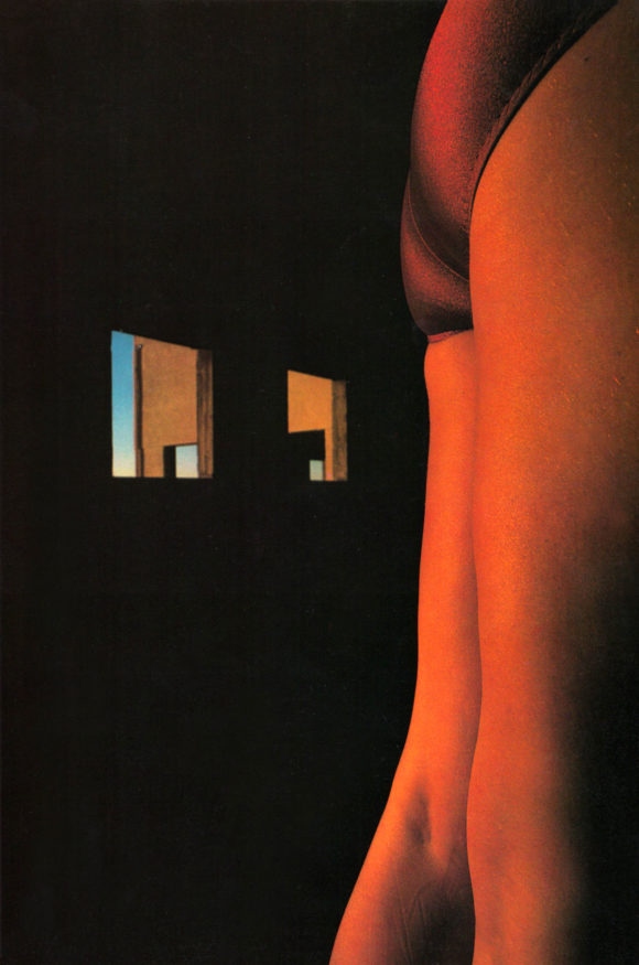 © Robert Steve Bauer