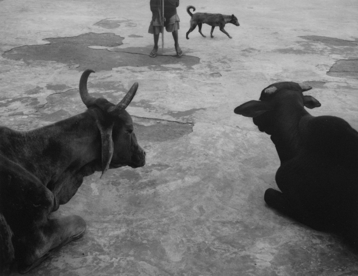 © Pentti Sammallahti, courtesy Galerie Camera Obscura