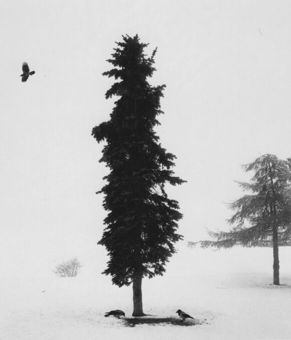 © Pentti Sammallahti, courtesy Galerie Camera Obscura