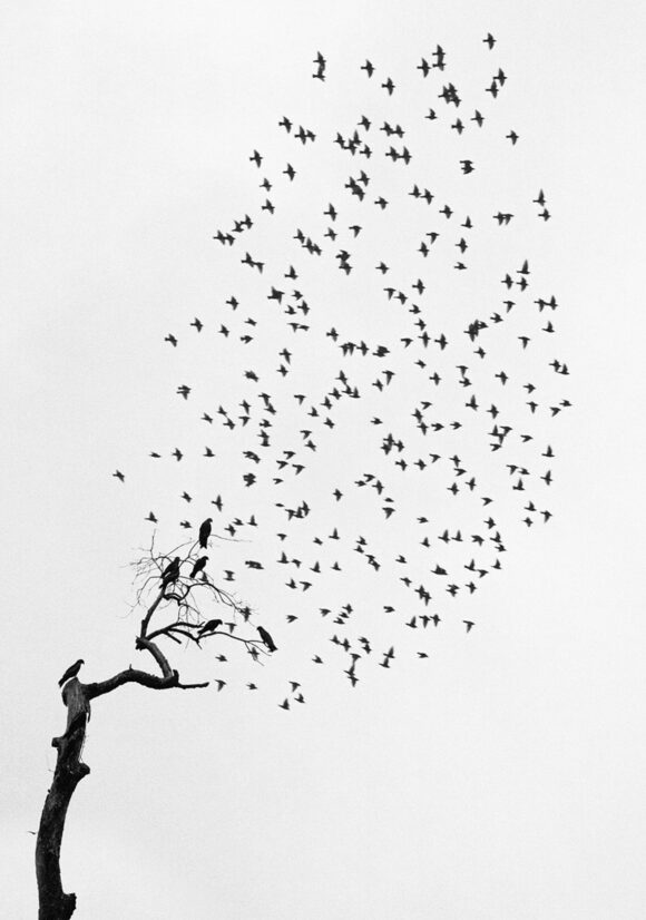 © Pentti Sammallahti, courtesy Galerie Camera Obscura