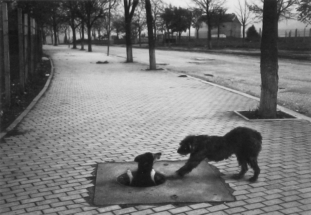 © Pentti Sammallahti, courtesy Galerie Camera Obscura