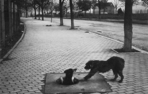 © Pentti Sammallahti, courtesy Galerie Camera Obscura