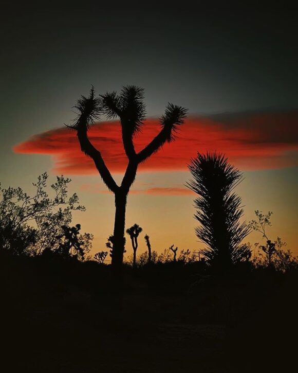© Matt Baron / Instagram