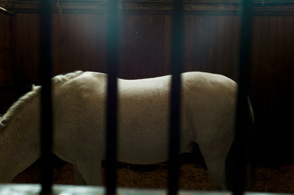 © Julien Magre