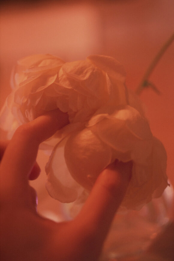 © Li Hui
