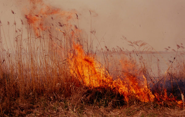 © Li Hui