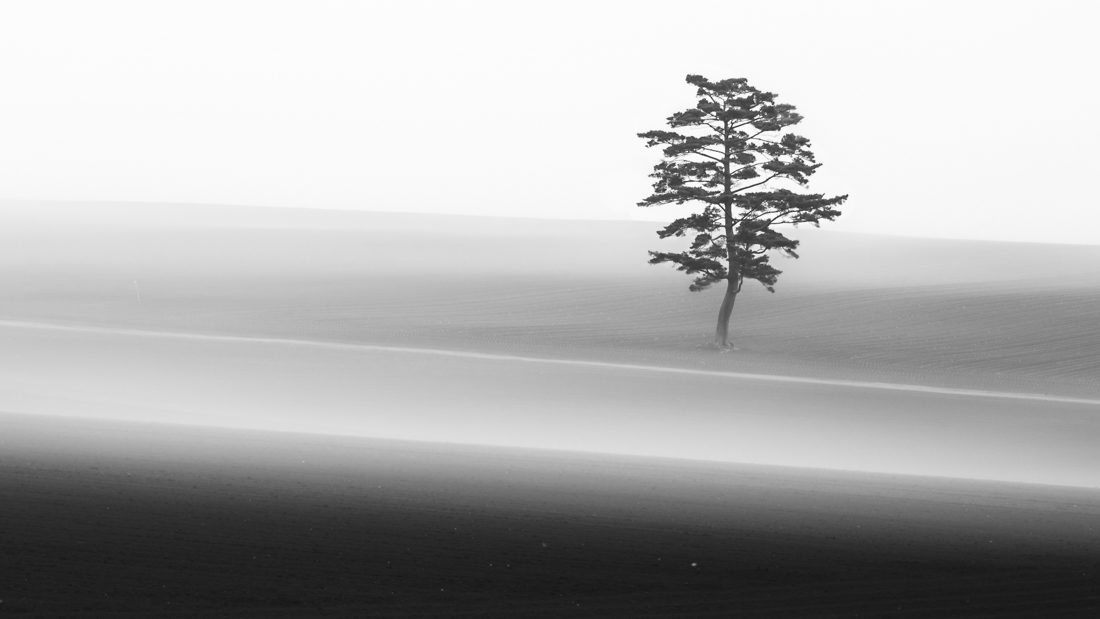 © Aya Iwakasi