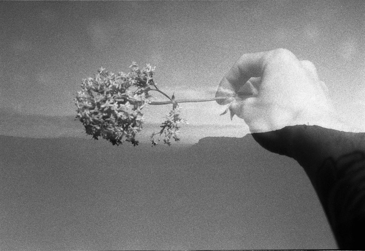 © Frédéric Aigus