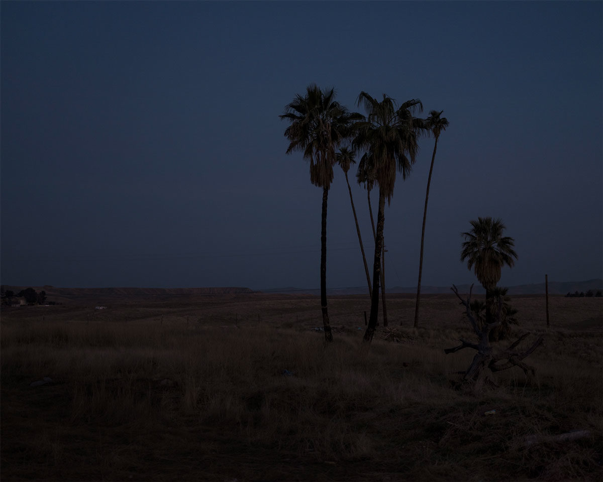 © Shawn Bush 