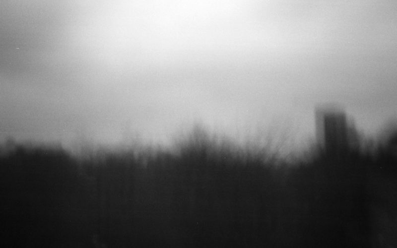 © Nieves Mingueza