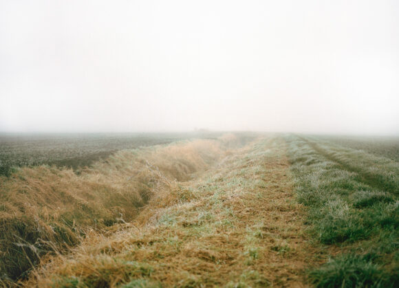 © Dorothée Nowak