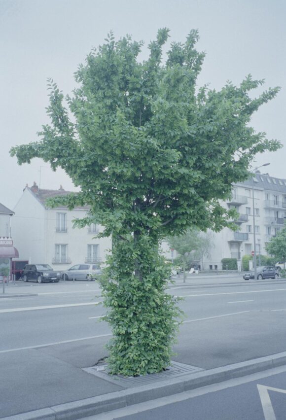 © Peter Tillessen