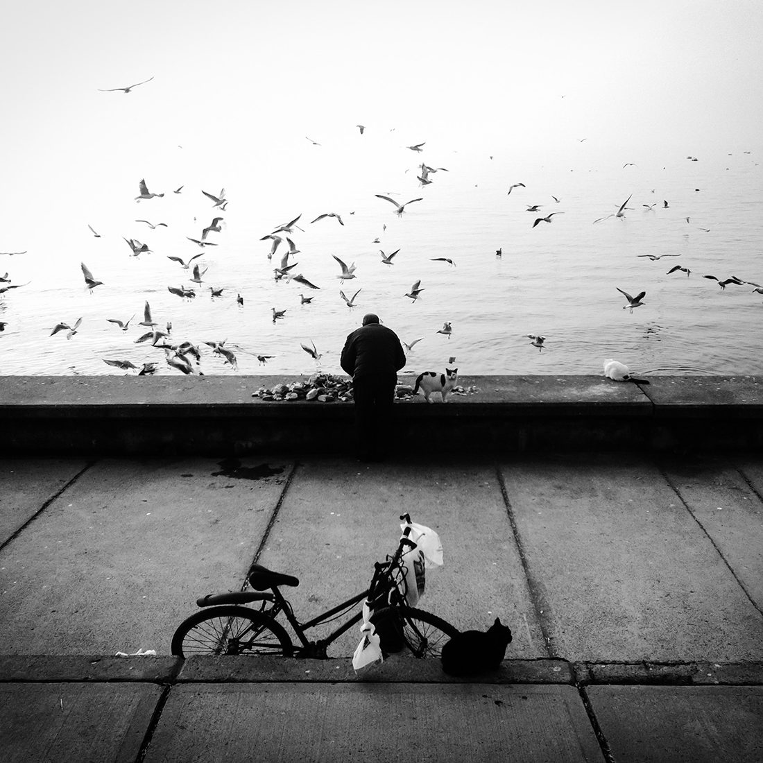 © Sevil Alkan