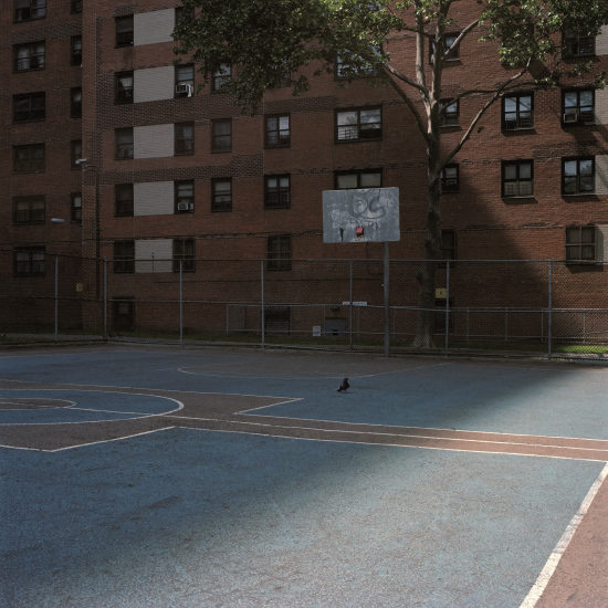 © Ward Roberts