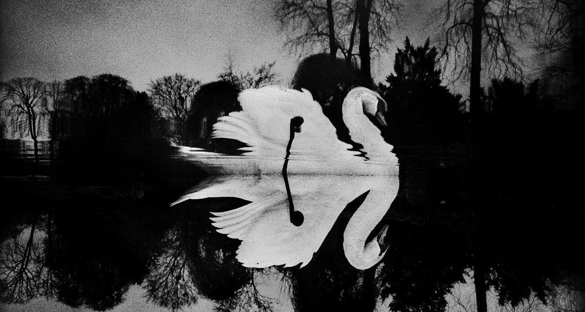 © Yusuf Sevincli
