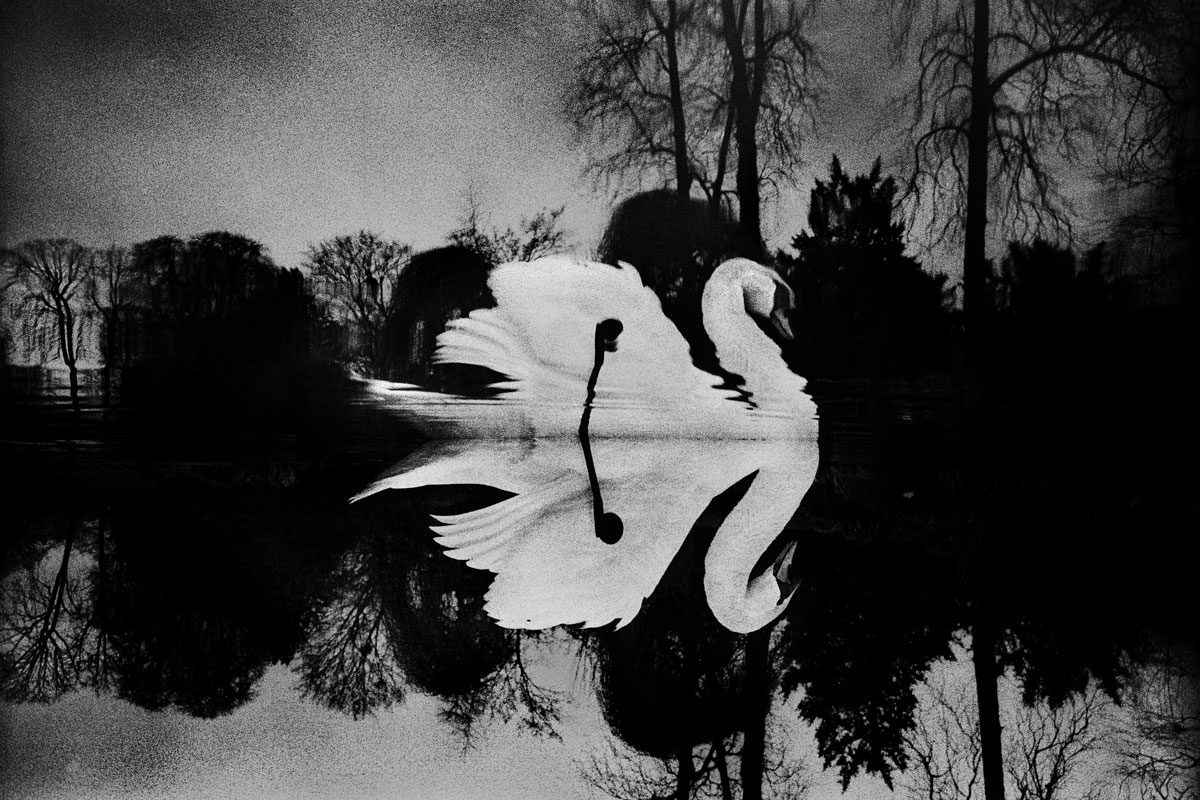 © Yusuf Sevincli