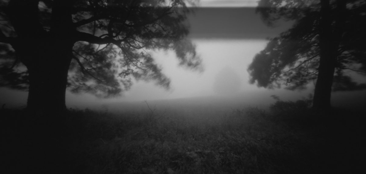 © Bogdan Konopka