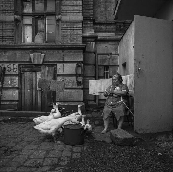 © Bogdan Konopka