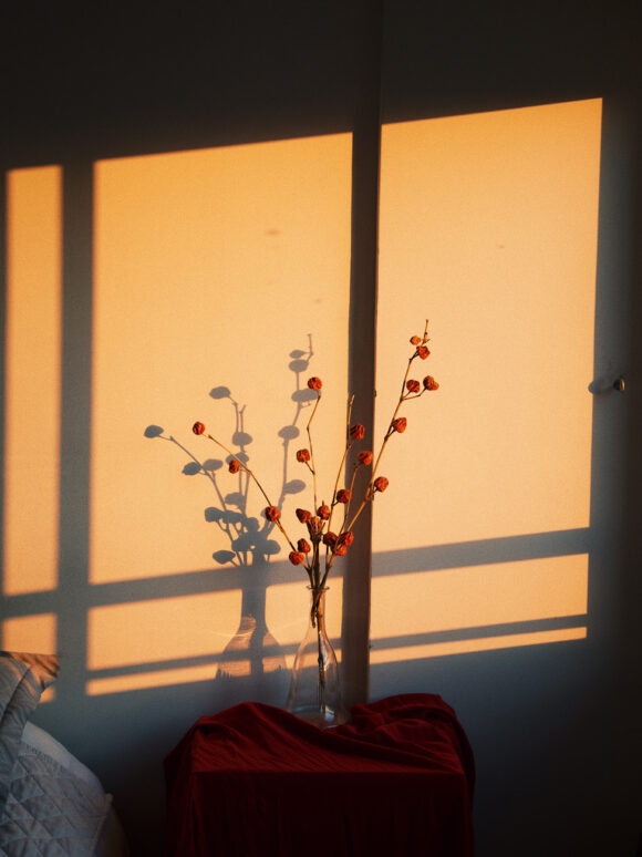 © Delfina Carmona