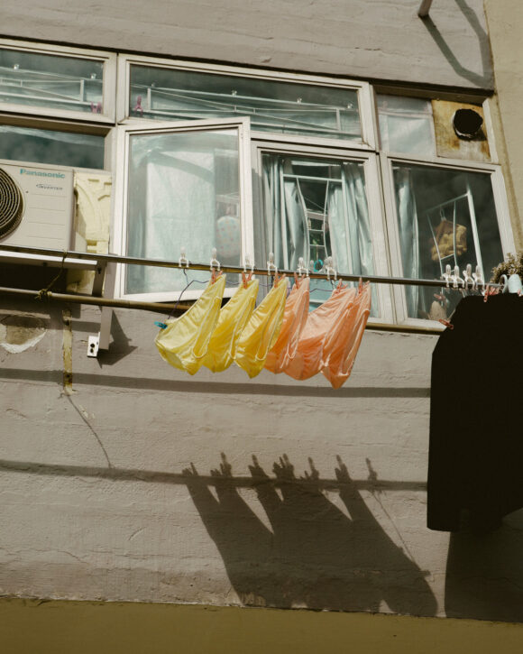 © Desiré van den Berg