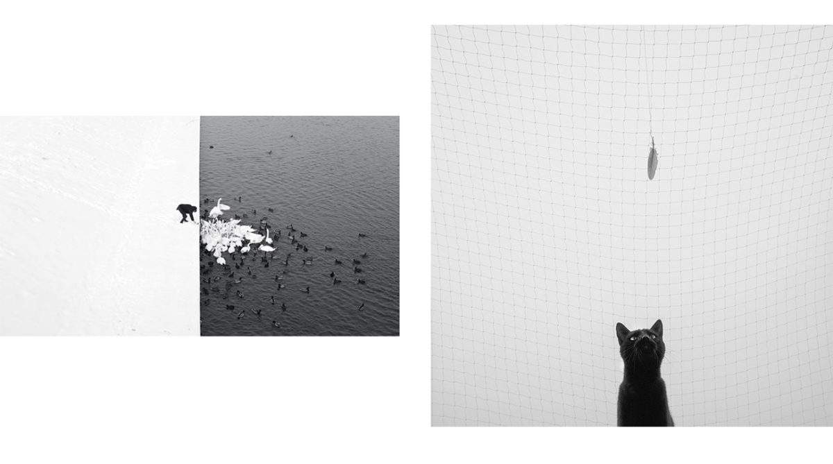 marcinryczek_photography-insta