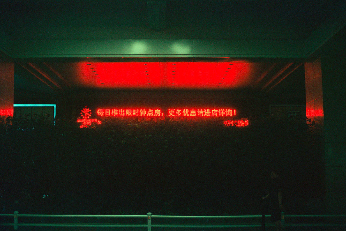 © Nicholas Wilkins