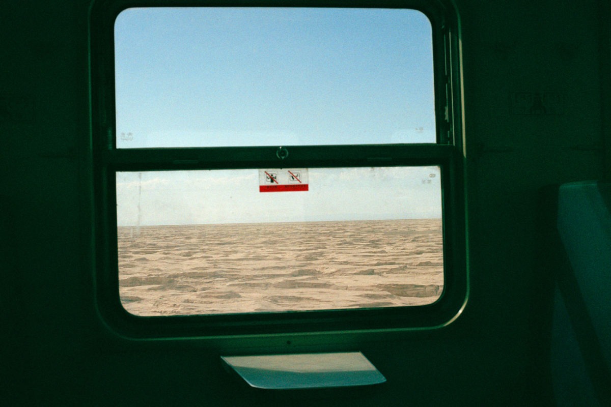 © Nicholas Wilkins