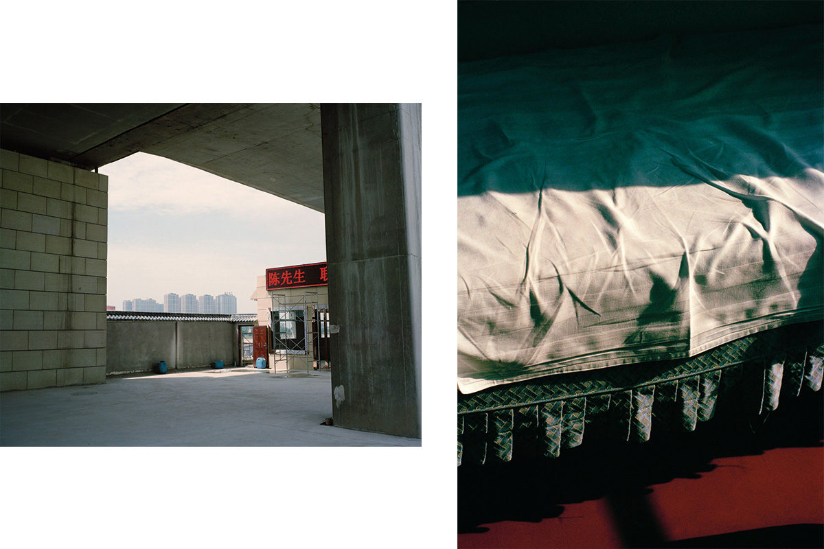 © Nicholas Wilkins