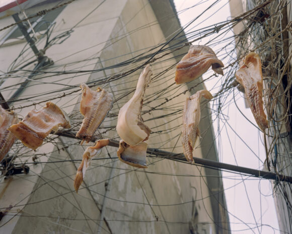 © Peng Ke