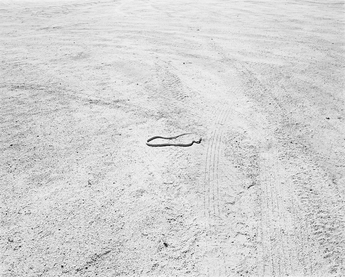 © Susan Lipper, Courtesy of the artist and MACK 