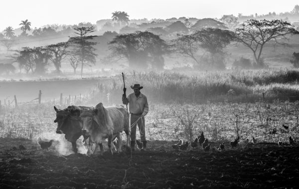 © Jean Paul Nomen