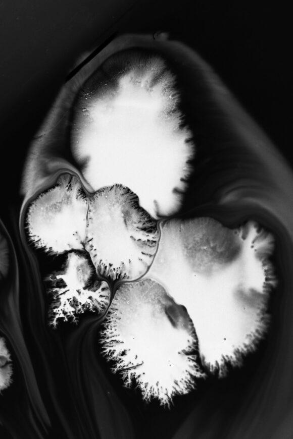 © Frank Prigent
