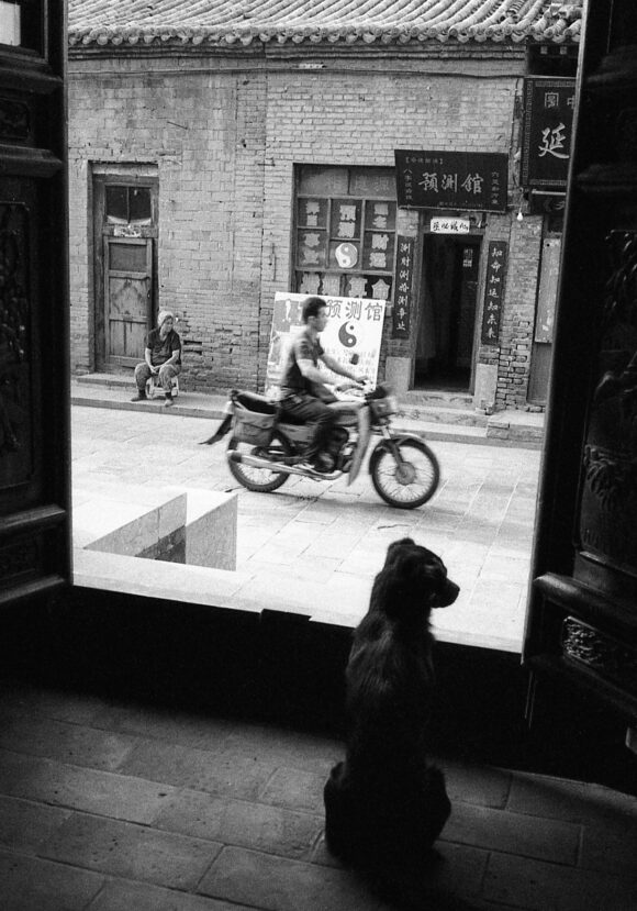© Jean-Luc Feixa